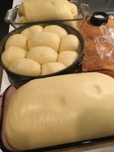 Slow raise with instant yeast - 2017